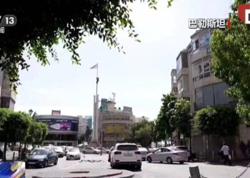 Shawarwari 3 Da Shugaban Sin Ya Gabatar Kan Batun Palesdinu Sun Shaida Matsayin Sin Na Neman Adalci A Yankin Gabas Ta Tsakiya