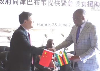 Yadda Tallafin Gaggawa Da Kasar Sin Ta Samarwa Zimbabwe Ya Kara Fito Da Manufar Kawancen Gargajiya Tsakanin Sassan Biyu