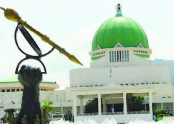 Illar Kakaba Wa Majalisa Ta 10 Shugabanni Ga Gwamnatin Tinubu – Dattawan Arewa