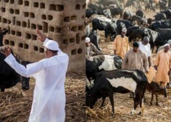 Shanun Buhari Sun Ragu Saboda Yawan Kyautarsa — Garba Shehu