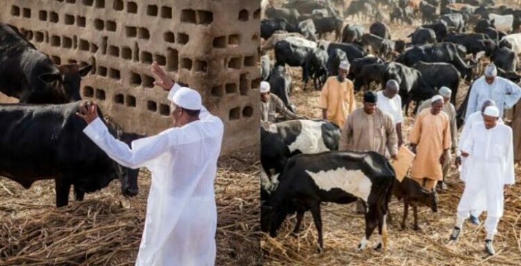 Buhari