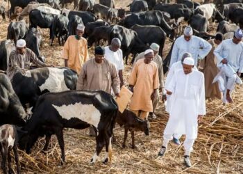 Shanuna Sun Fi Saukin Kiwo A Kan Mulkin Nijeriya – Buhari