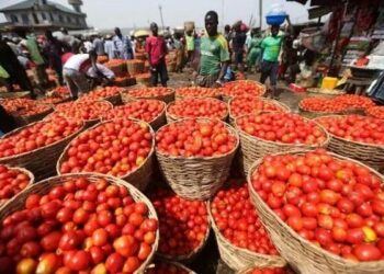 Farashin Tumatir Ya Karye Bayan Ghana Da Kamaru Sun Turo Shi Kasuwannin Nijeriya
