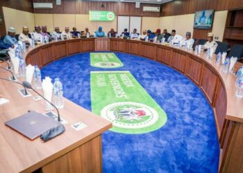 Gwamnoni Sun Mara Wa Matakin Tinubu Na Cire Tallafin Mai Baya