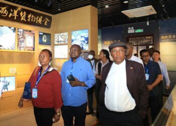 Jakadun Kasashen Afirka Sun Bayyana Gamsuwa Ga Makomar Hadin Gwiwar Sin Da Afirka