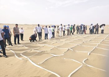 Hannu Daya Ba Ya Daukar Jinka——Sin Da Afirka Za Su Kara Cimma Nasarorin Yaki Da Kwararar Hamada In Sun Hada Kansu