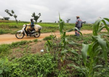 ‘Yan Bindiga Sun Kashe Manomi A Nasarawa