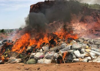 NDLEA Ta Kone Miyagun Kwayoyi Ton 26 A Jihar Sakkwato