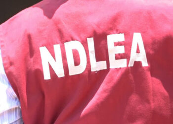 NDLEA Ta Kama Tabar Wiwi Buhu 116 A Jihar Kano