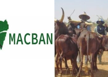 Mun Samu Gawar Mutum 15, Shanu 2000 Sun Bace Da Kone Mana Gidaje 78 A Jihar Filato – MACBAN