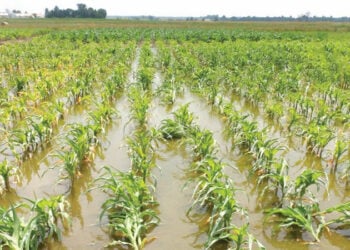 ‘Muna Cikin Fargabar Yiwuwar Ambaliyar Ruwa A Daminar Bana’