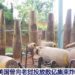 wang yi Shin Amurka Na Son Maimaita Laifukan Da Ta Aikata A Kan Al’ummar Laos A Rikicin Ukraine?