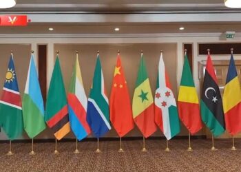 Shugaba Xi Jinping Da Takwaransa Na Afirka Ta Kudu Sun Jagoranci Taron Tattaunawa A Tsakanin Shugabannin Sin Da Afirka