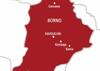 An Kashe ‘Yan Ta’adda 41 Yayin Da Boko Haram Da ISWAP Suka Bai Wa Hammata Isla A Borno