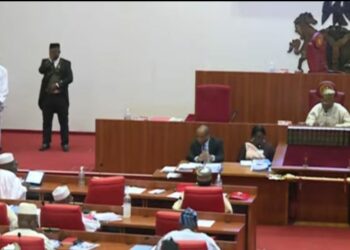 Takaddamar Da Ta Kunno Kai Lokacin Tantance Ministocin Tinubu