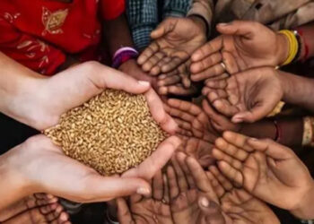 Masana Kimiyya Na Sin Da Afrika Sun Lashi Takobin Hada Gwiwa Wajen Ganin An Cimma Ajandar Kyautata Rayuwar Jama’a