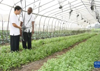 Cibiyar Kimiyyar Noma Na Sin CATAS Ta Cancanci Yabo