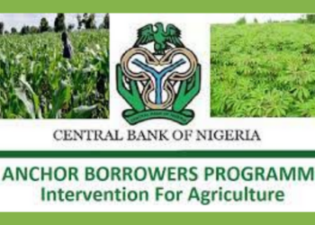 Bashin Anchor Borrower: DSS Ta Bankado Yunkurin Shirya Zanga-zanga Kan Bijire Wa Biyan Rancen CBN