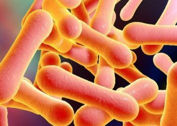 Kisan Mummuken Cutar Mashako A Nijeriya Da Sassan Duniya