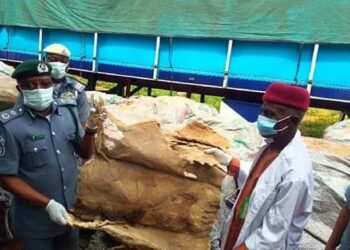 Kwastam Ta Kama Fatun Jakuna Da Aka Yi Fasa Kwaurinsu A Jihar Adamawa