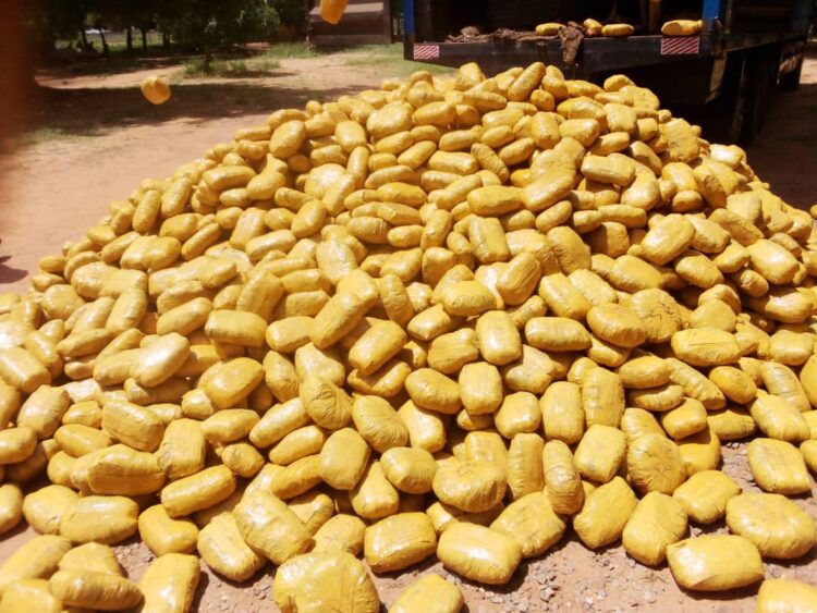 Kebbi