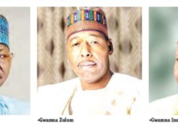 Cikar Gwamnoni Kwana 100 A Karagar Mulki: Me Aka Tabuka A Jigawa, Bauchi, Nasarawa, Gombe, Borno Da Yobe?