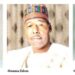 Cikar Gwamnoni Kwana 100 A Karagar Mulki: Me Aka Tabuka A Jigawa, Bauchi, Nasarawa, Gombe, Borno Da Yobe?