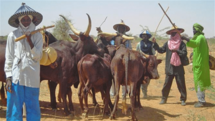Kaduna