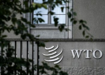 Xi Ya Jaddada Kara Kaimi Wajen Shiga Cikin Garambawul Na WTO Da Karafafa Ikon Bude Kofa Ga Waje