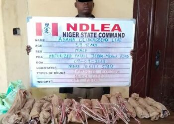 NDLEA Ta Kama Abubuwa Masu Fashewa 399, Da Haramtattun Kwayoyi A Neja