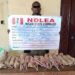 NDLEA Ta Kama Abubuwa Masu Fashewa 399, Da Haramtattun Kwayoyi A Neja