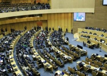 AU Ta Zama Mamba Ta Dindindin A Kasashen G20 Masu Karfin Tattalin Arziki A Duniya