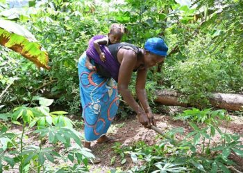 Wakilin Sin Ya Yi Kira Da A Kare Ci Gaban Mata A Duniya