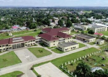 Likitocin Kasar Sin Dake Taka Rawarsu A Nahiyar Afirka