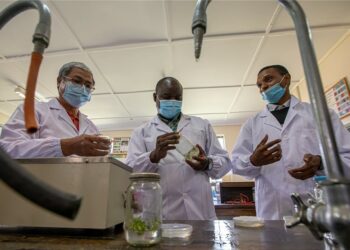 Kimiyya Ba Dabarar Takara Ba Ce