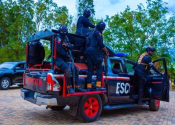 Yadda Mai Sayar Da Mushen Shanu Ta Fada Komar NSCDC A Gombe