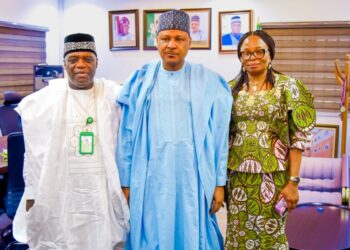 Ba A Kafa NBC Don Takura Wa Kafafen Yaɗa Labarai Ba – Minista Idris 