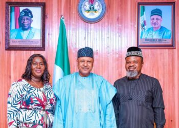 Gwamnatin Tarayya Za Ta Muhimmanta ‘Yancin ‘Yan Jarida – Minista