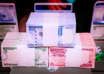 Babu Shirin Sake Sauya Fasalin Naira — CBN