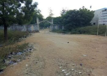 Masu Matsalar Kwakwalwa 750 Ake Gani Duk Sati A Asibitin Dawanau A Kano – Likita