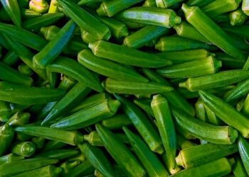 Amfanin Kubewa Ga Lafiyar Dan’Adam