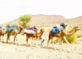 Kayan Tarihi Na Manzon Allah S.A.W (II)