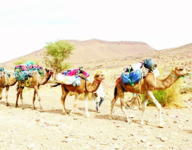 Manzon Allah Manzon Allah