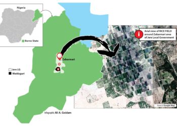 ‘Yan ta’adda Sun Kashe Monoman Shinkafa 15, Da Tarwatsa Wasu Da Dama A Jihar Borno