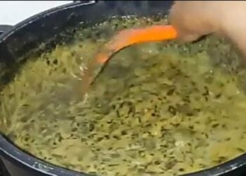 Yadda Ake Miyar Zogale