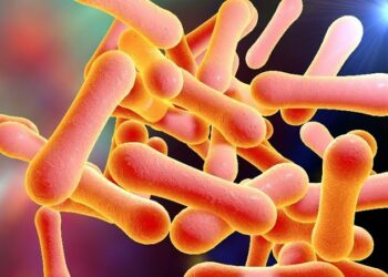 Diphtheria: Gwamnatin Kano Ta Yi Gargadi Kan Hada Taruka