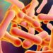 NLC Diphtheria: Gwamnatin Kano Ta Yi Gargadi Kan Hada Taruka