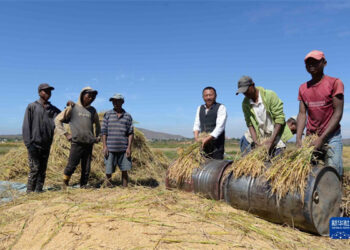 Sin Da Afirka Na Da Makoma Mai Kyau A Fannin Hadin Gwiwar Aikin Gona