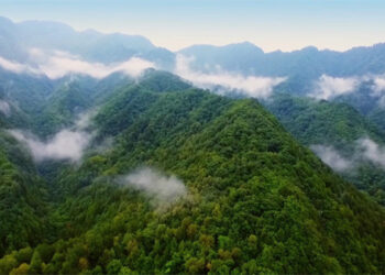 Xi Ya Jaddada Ci Gaba Da Inganta Aikin Gina Kyakkyawar Kasar Sin