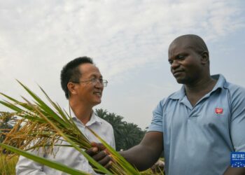 Don Kare Hakkin Dan Adam Ana Bukatar Gudunmowa Maimakon Takunkumi